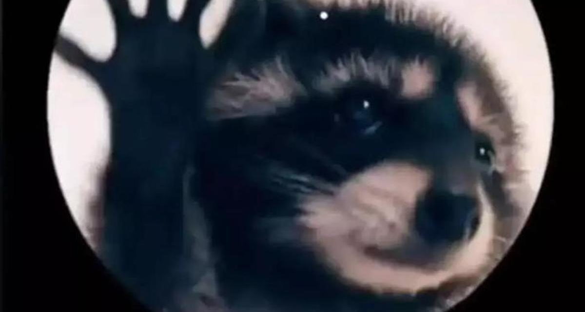 Cómo poner al mapache que baila Pedro de Raffaela Carrá en tu Apple Watch