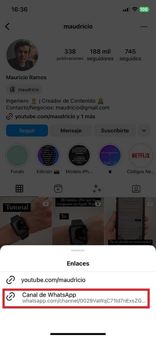 Cómo poner al mapache que baila Pedro de Raffaela Carrá en tu Apple Watch 4 descargar caratula mapache pedro paso 2 como poner al mapache que baila pedro de raffaela carra en tu apple watch