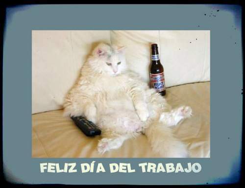 Los memes más divertidos para celebrar el 1 de mayo, Día del Trabajador 8 job8