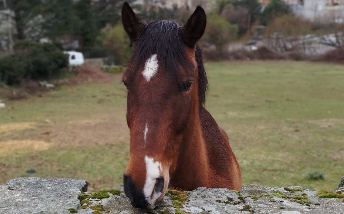 Mi experiencia con el móvil Xiaomi Redmi Note 13 tras tres semanas de uso 22