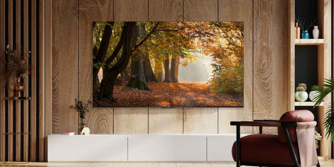 TCL 65V6B, un televisor de diseño sofisticado con un contraste muy detallado