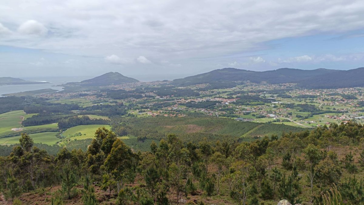 Mi experiencia con el móvil Oppo Reno11 F 5G tras 15 días de uso