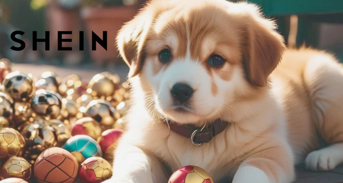 Opiniones sobre la compra de artículos para mascotas en Shein, ¿son seguros?