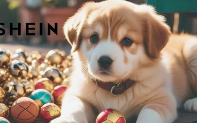 Opiniones sobre la compra de artículos para mascotas en Shein, ¿son seguros?