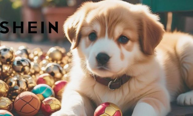 Opiniones sobre la compra de artículos para mascotas en Shein, ¿son seguros?