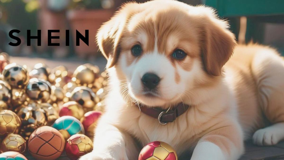 Opiniones sobre la compra de artículos para mascotas en Shein, ¿son seguros?