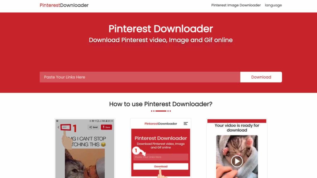 Cómo descargar cualquier vídeo de Internet 7 PinterestDownloader