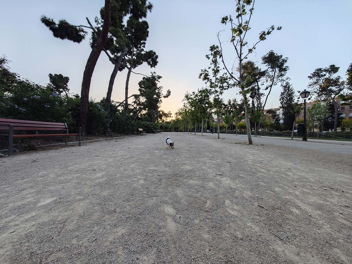 Mi experiencia de uso con el Xiaomi 14 Ultra tras un mes de uso 13