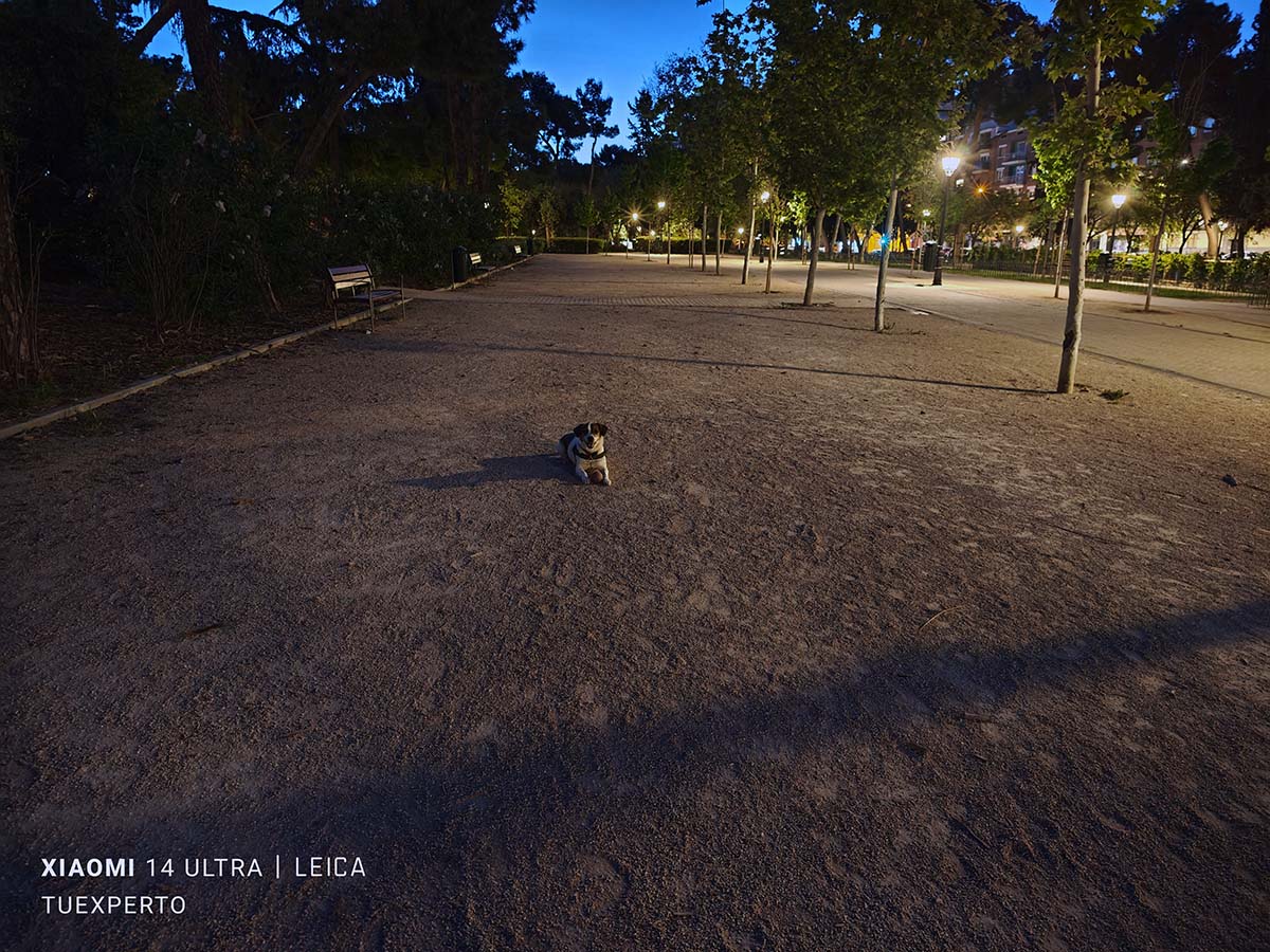 Mi experiencia de uso con el Xiaomi 14 Ultra tras un mes de uso 24