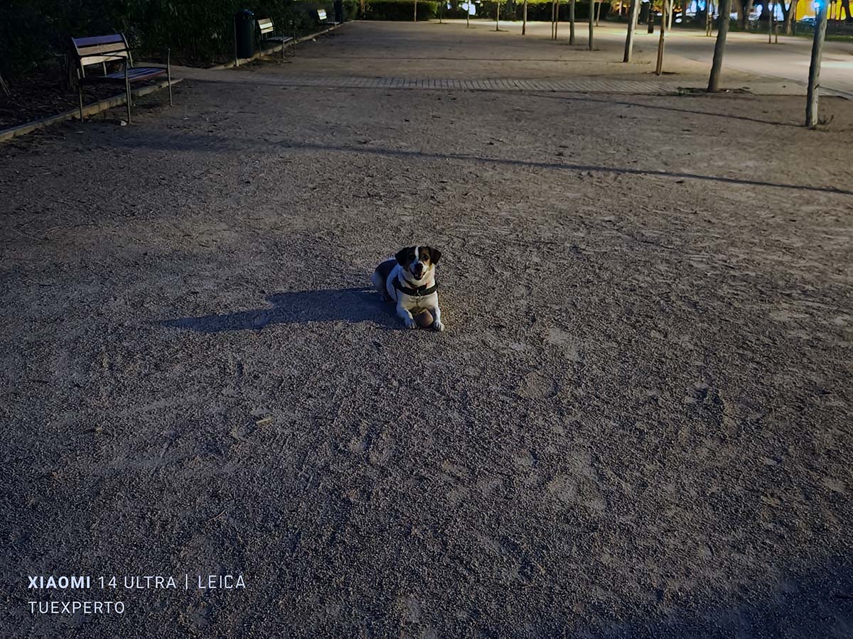 Mi experiencia de uso con el Xiaomi 14 Ultra tras un mes de uso 25