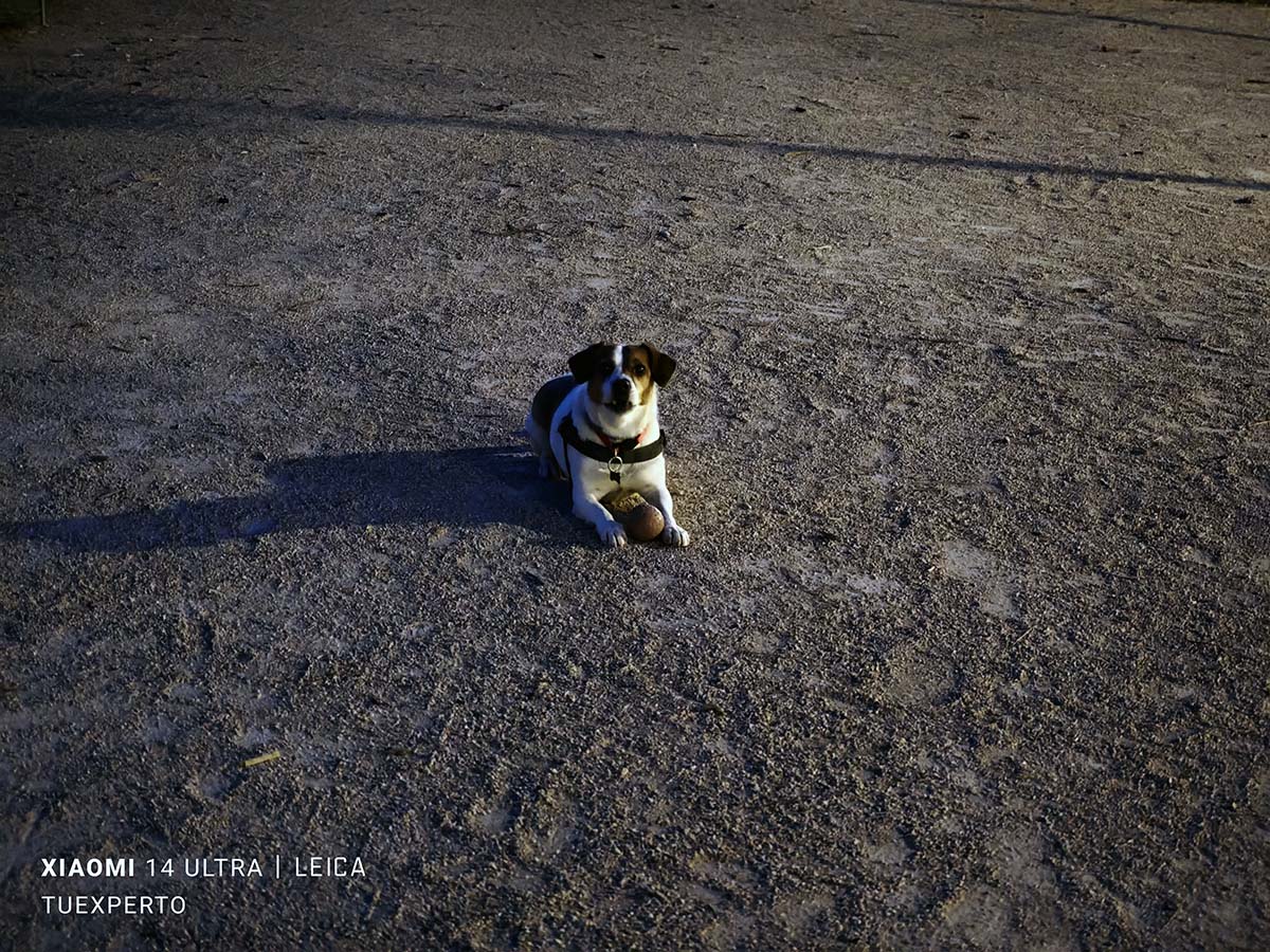 Mi experiencia de uso con el Xiaomi 14 Ultra tras un mes de uso 26