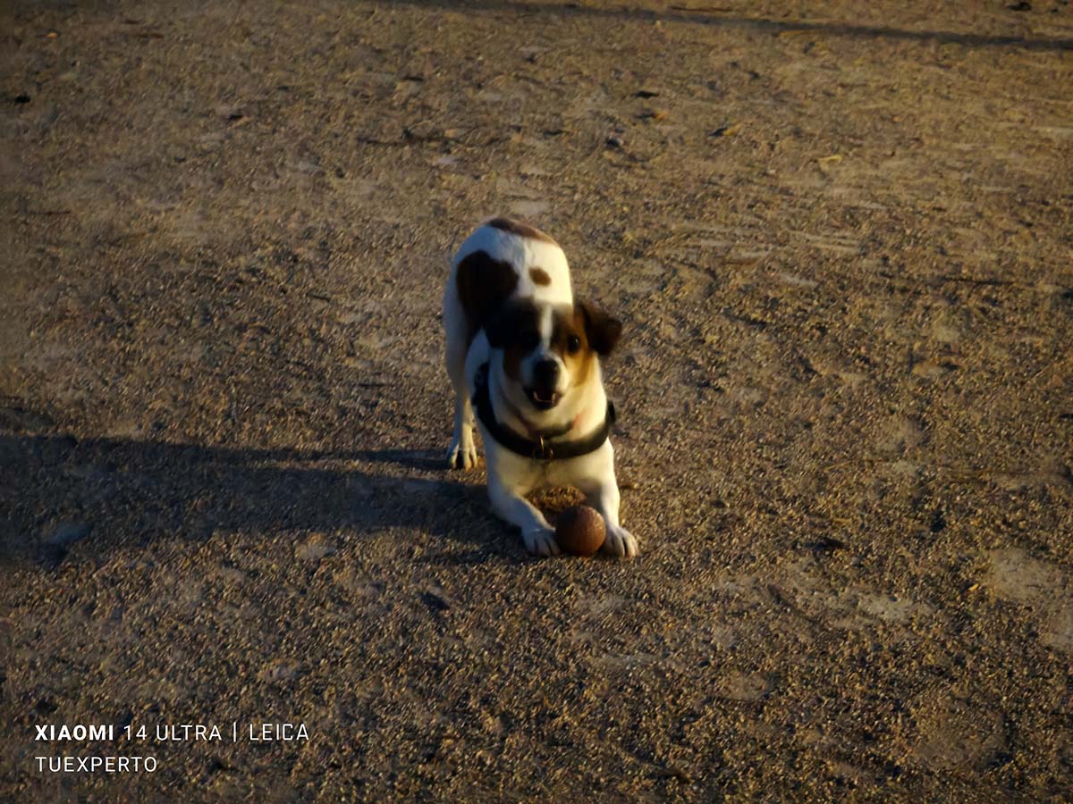 Mi experiencia de uso con el Xiaomi 14 Ultra tras un mes de uso 27