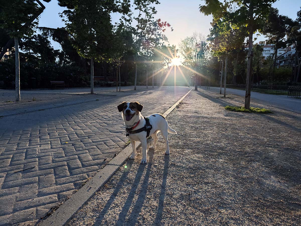 Mi experiencia de uso con el Xiaomi 14 Ultra tras un mes de uso 15