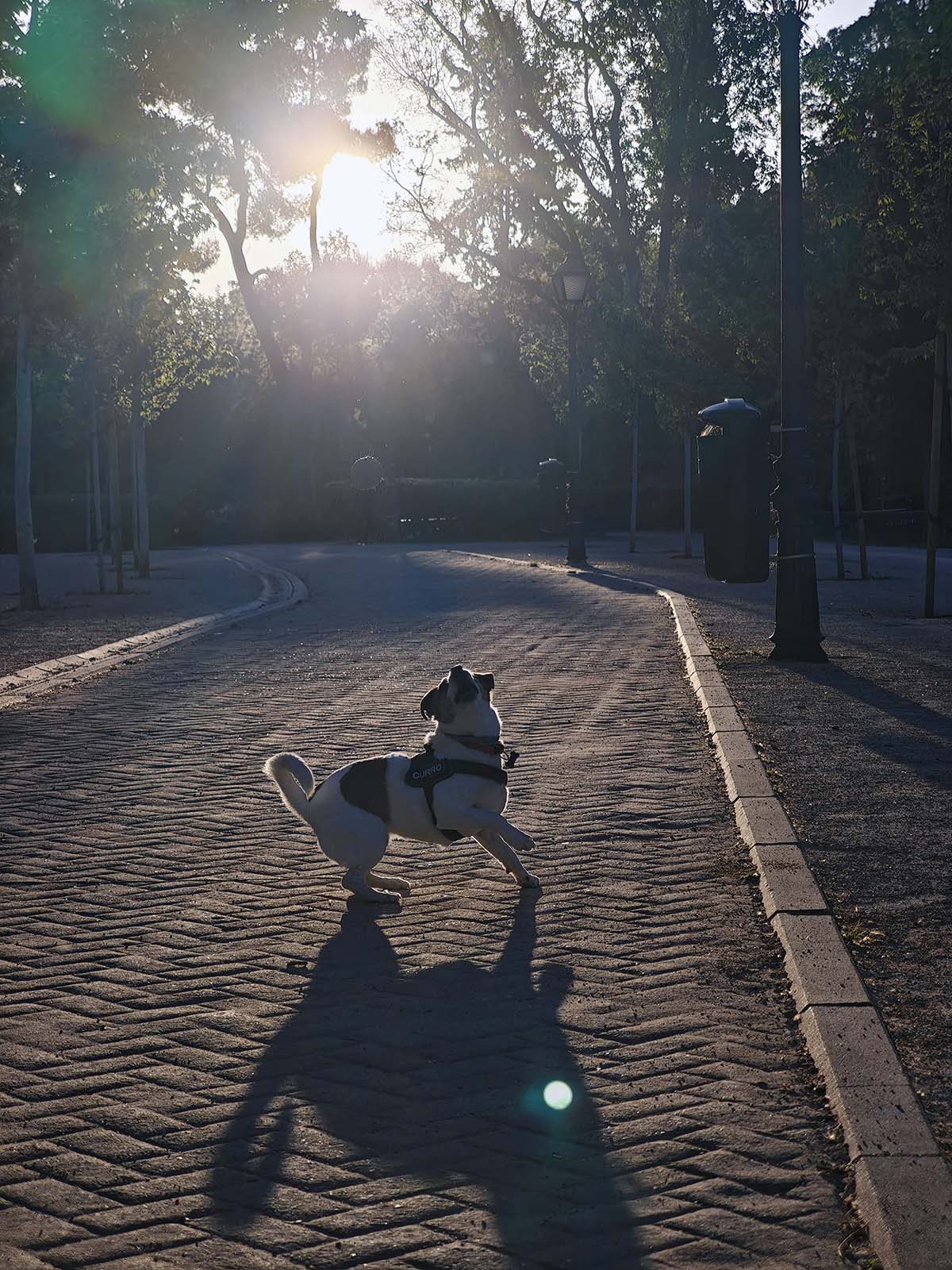 Mi experiencia de uso con el Xiaomi 14 Ultra tras un mes de uso 19