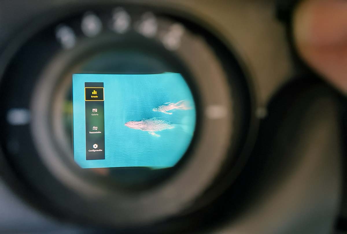 Las 8 claves que debes tener en cuenta antes de comprar el dron DJI Avata 2 5 Las 8 claves que debes tener en cuenta antes de comprar el dron DJI Avata 2 4
