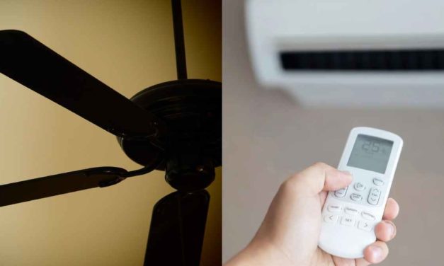 Aire acondicionado o ventilador de techo: ¿cuál es mejor en 2024?