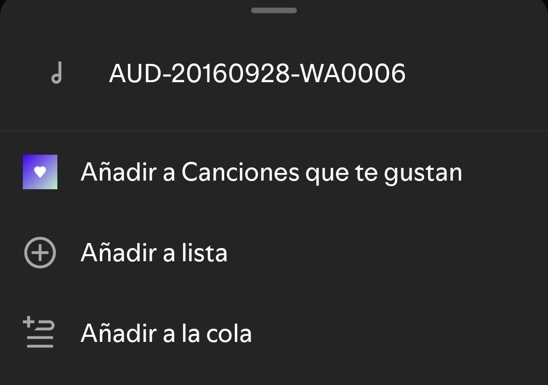 ¿Se puede escuchar un archivo MP3 de mi móvil en Spotify? 3 archivo-local-lista