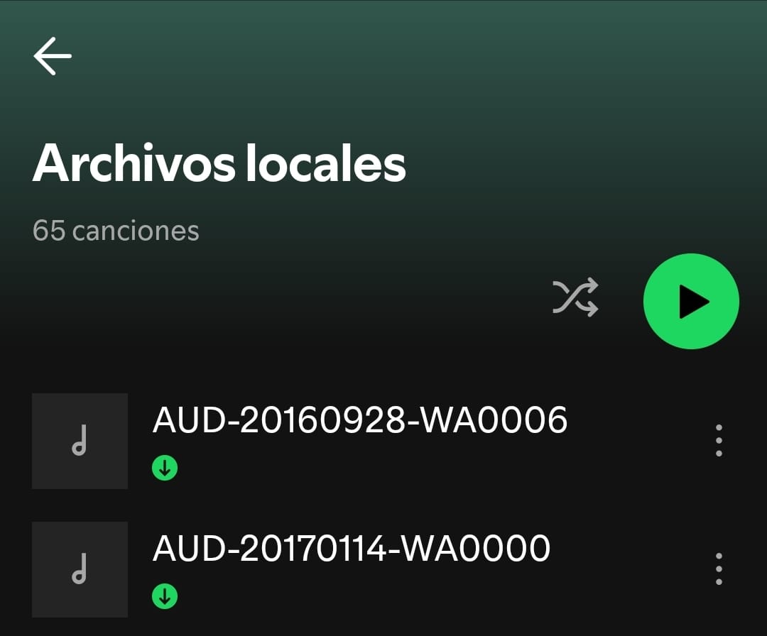 ¿Se puede escuchar un archivo MP3 de mi móvil en Spotify? 2 archivos-locales-lista