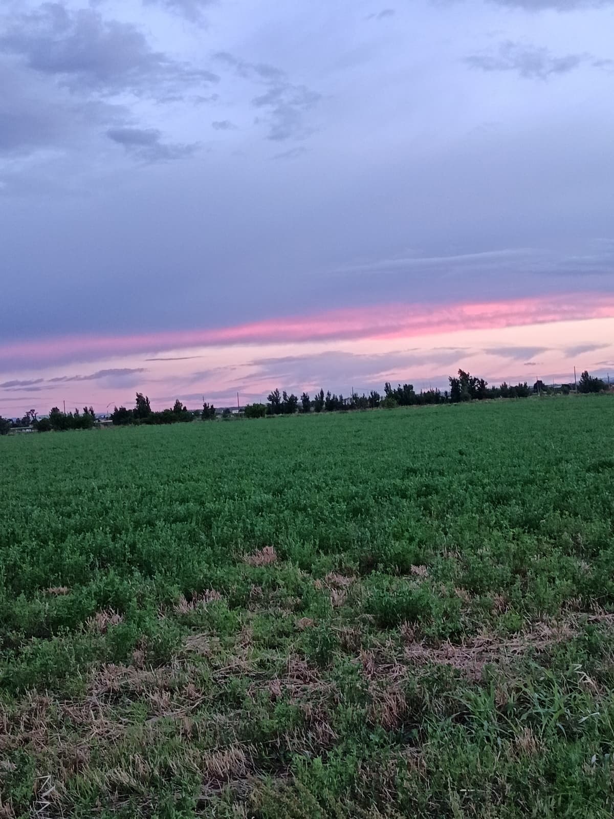 Mi experiencia con el HONOR 200 Lite tras un mes de uso 33 camara honor 200 lite analisis (19)