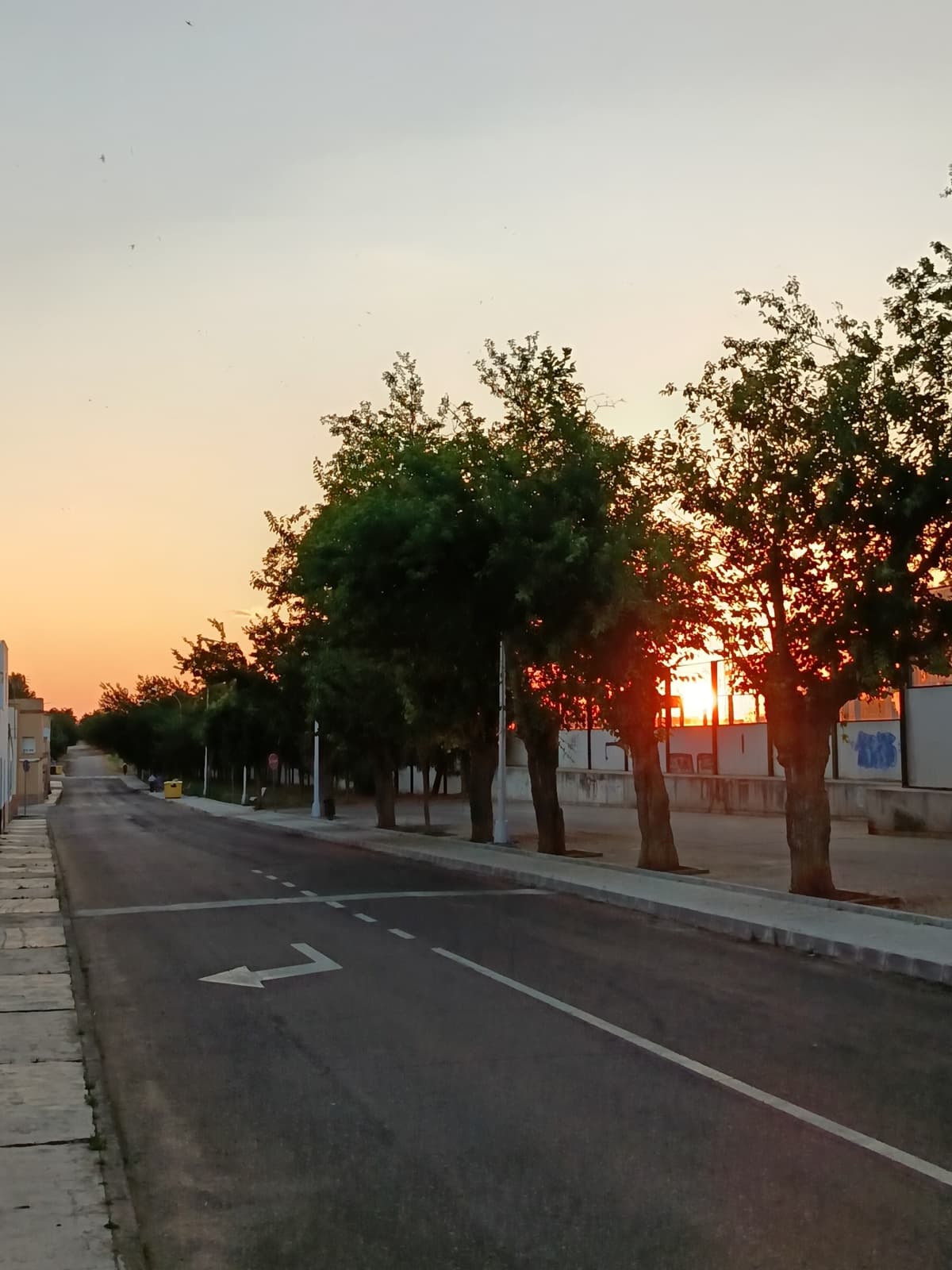 Mi experiencia con el HONOR 200 Lite tras un mes de uso 50 camara honor 200 lite analisis (3)