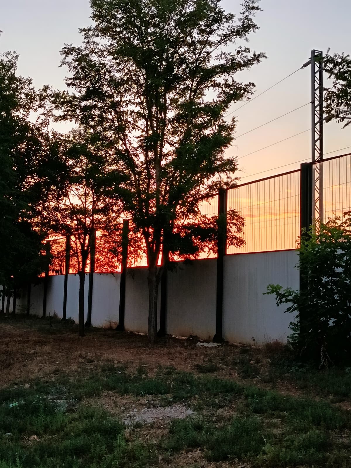 Mi experiencia con el HONOR 200 Lite tras un mes de uso 32 camara honor 200 lite analisis (5)