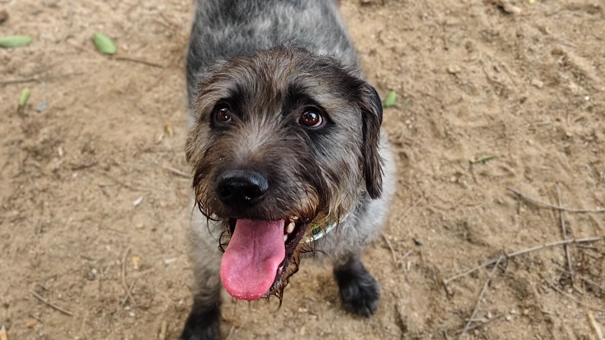 Mi experiencia con el móvil vivo V40 5G tras tres semanas de uso 18