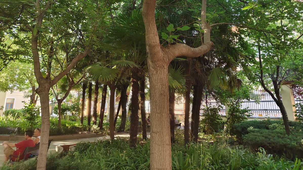 Mi experiencia con el móvil vivo V40 5G tras tres semanas de uso 16