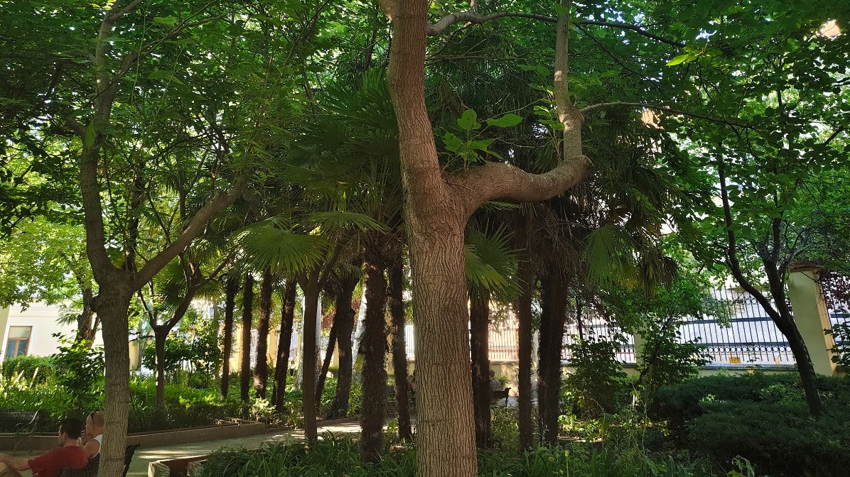 Mi experiencia con el móvil vivo V40 5G tras tres semanas de uso 15