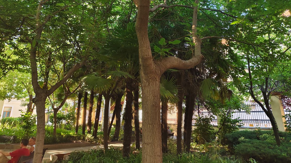 Mi experiencia con el móvil vivo V40 5G tras tres semanas de uso 14