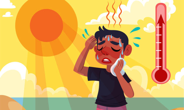 Los memes más divertidos de la primera ola de calor del verano 2024