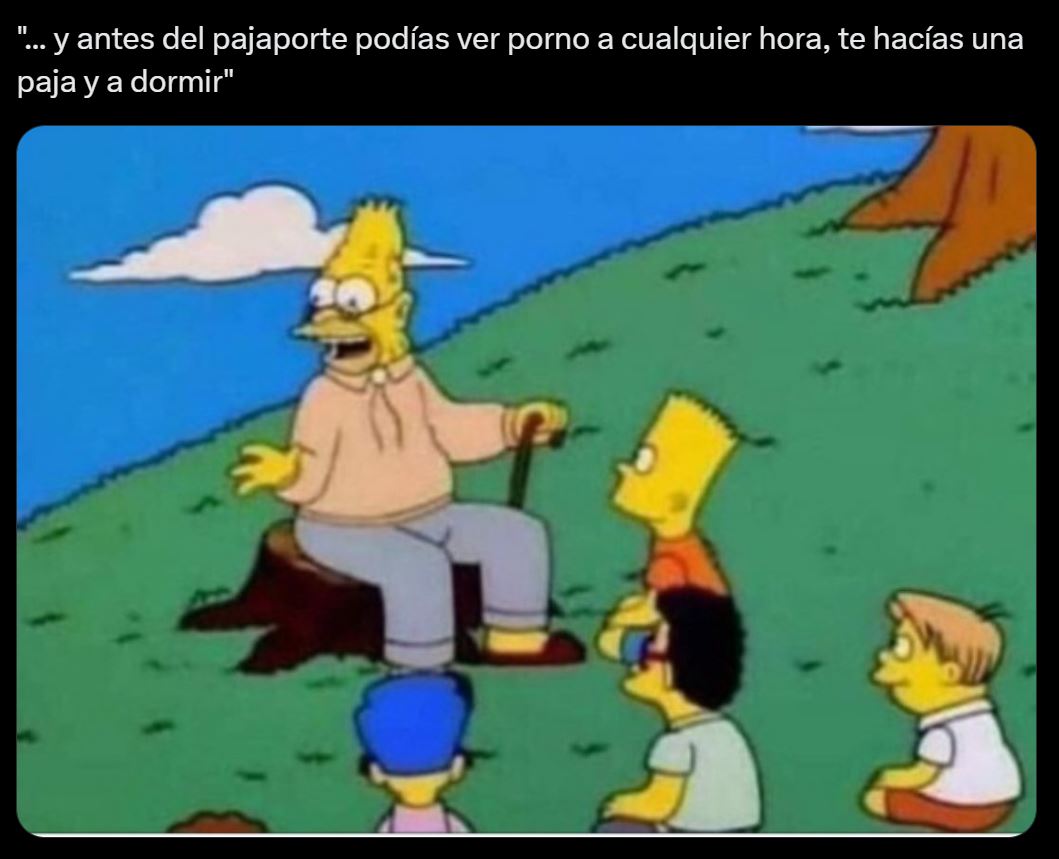 Los memes más divertidos sobre el pajaporte que triunfan en redes sociales 10