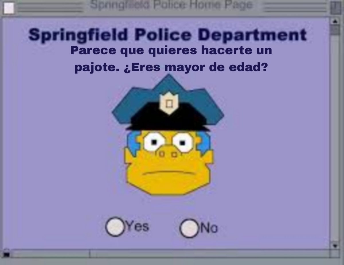 Los memes más divertidos sobre el pajaporte que triunfan en redes sociales 4