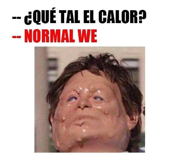 Los memes más divertidos de la primera ola de calor del verano 2024 7 Mejores memes de la primera ola de calor del verano 2024: cara derretida