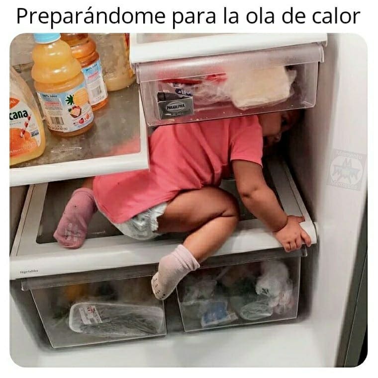 Los memes más divertidos de la primera ola de calor del verano 2024 13 Mejores memes de la primera ola de calor del verano 2024: el único lugar fresco