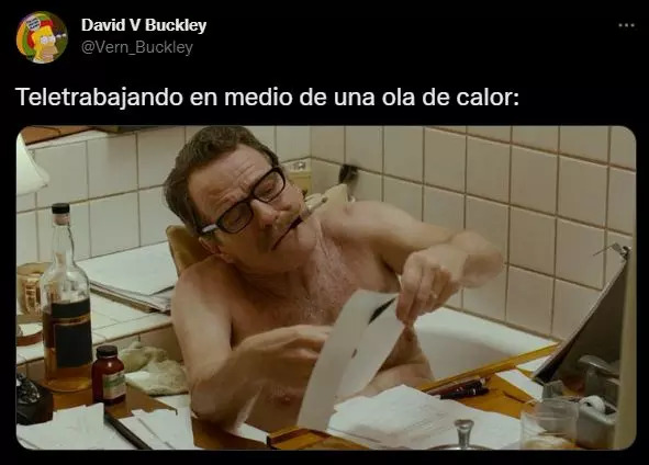 Los memes más divertidos de la primera ola de calor del verano 2024 11 Mejores memes de la primera ola de calor del verano 2024: la lucha contra el sudor