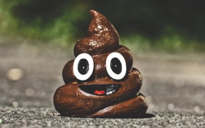 ¿Qué es la ‘mierdificación’ de Internet?