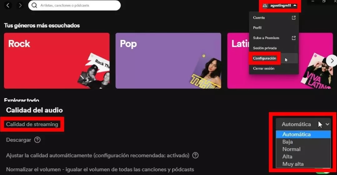 13 trucos que todo usuario de Spotify debería conocer en 2024 3 calidad spotify