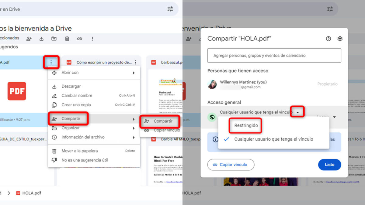 Cómo descargar películas, libros y series gratis y legal desde Google Drive 5 Pasos para evitar que cualquiera pueda ver tus archivos de Google Drive desde PC