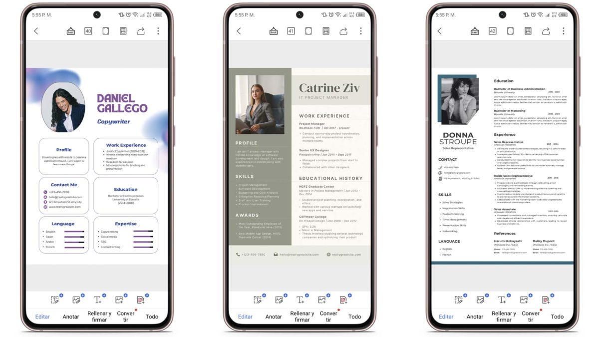 Plantillas de currículum gratis para descargar en Word y PDF: estilo elegante