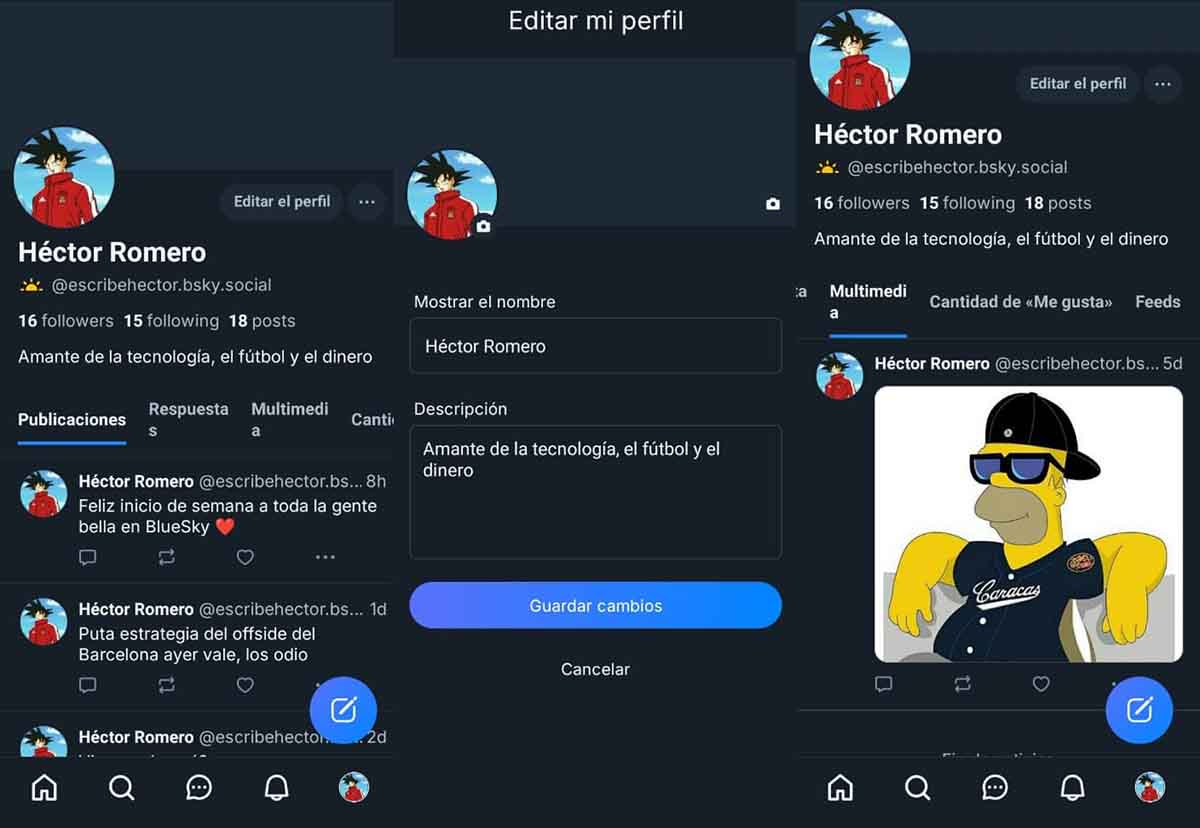 Mi experiencia usando Bluesky como sustituto de Twitter: ¿es la alternativa real? 5 bluesky perfil
