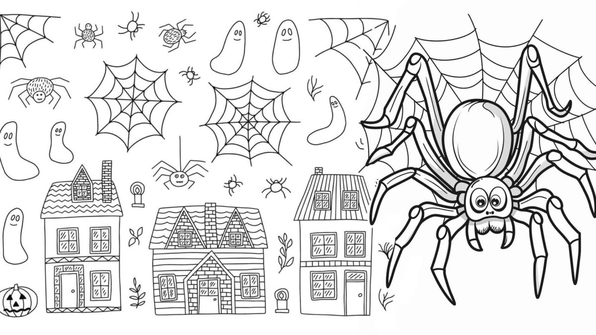 10 dibujos de Halloween de arañas para colorear