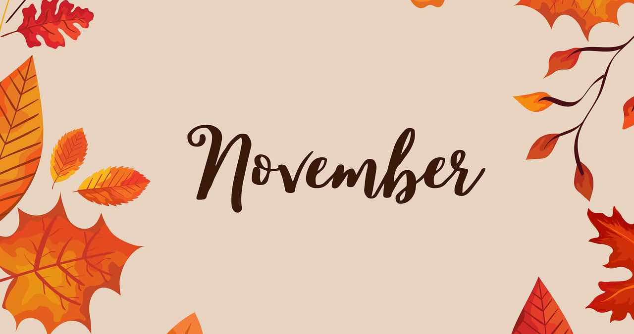 frases noviembre 2024