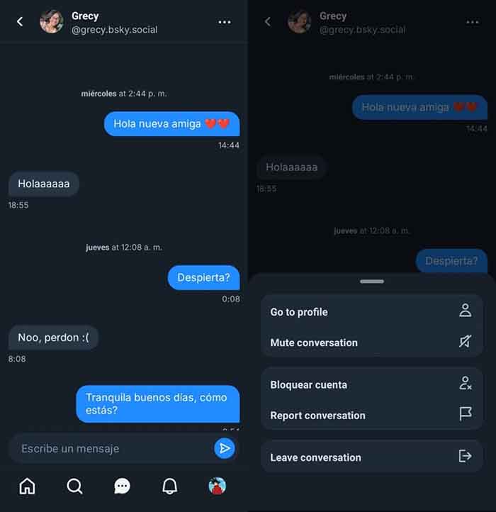 Mi experiencia usando Bluesky como sustituto de Twitter: ¿es la alternativa real? 7 mensajeria directa bluesky