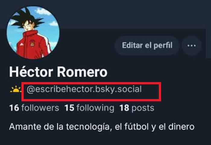 Mi experiencia usando Bluesky como sustituto de Twitter: ¿es la alternativa real? 6 nombre usuario bluesky