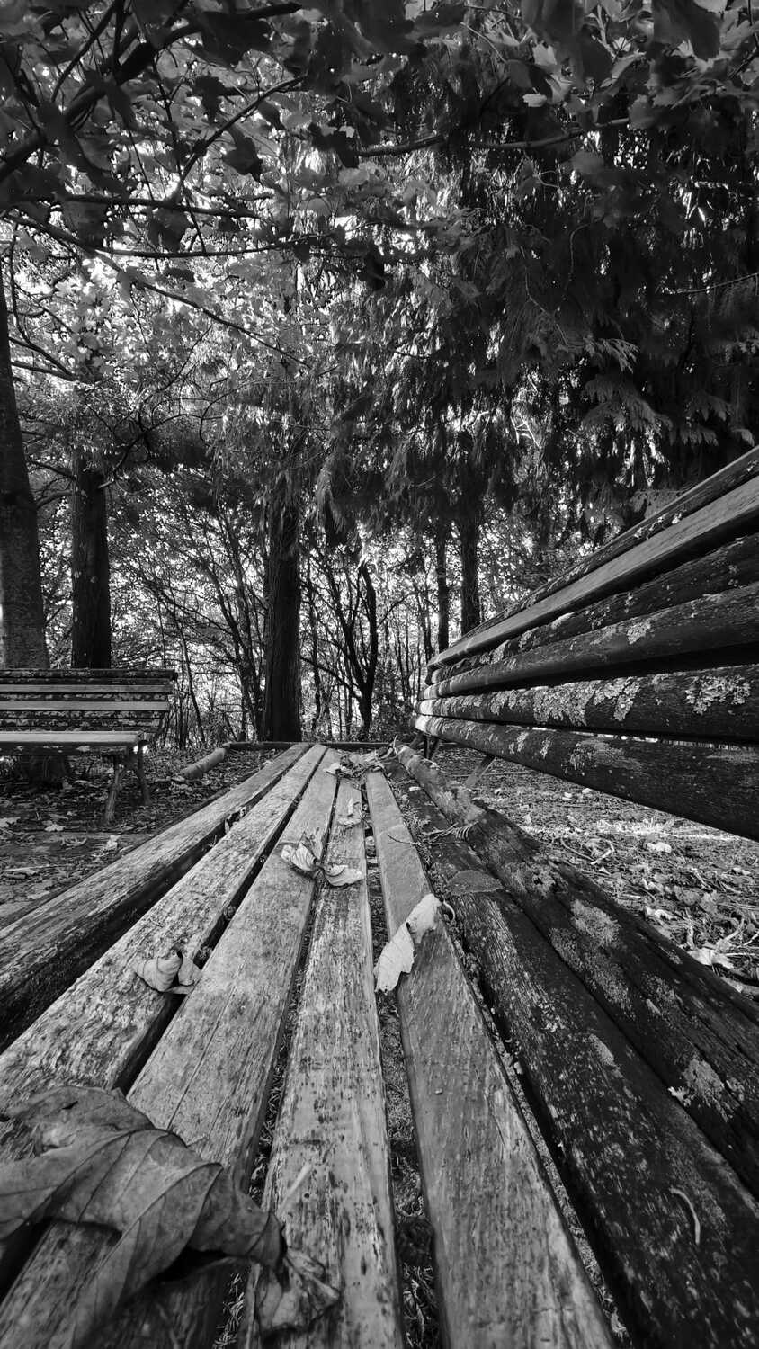 Mi experiencia con el Xiaomi 14T Pro tras tres semanas de uso 15