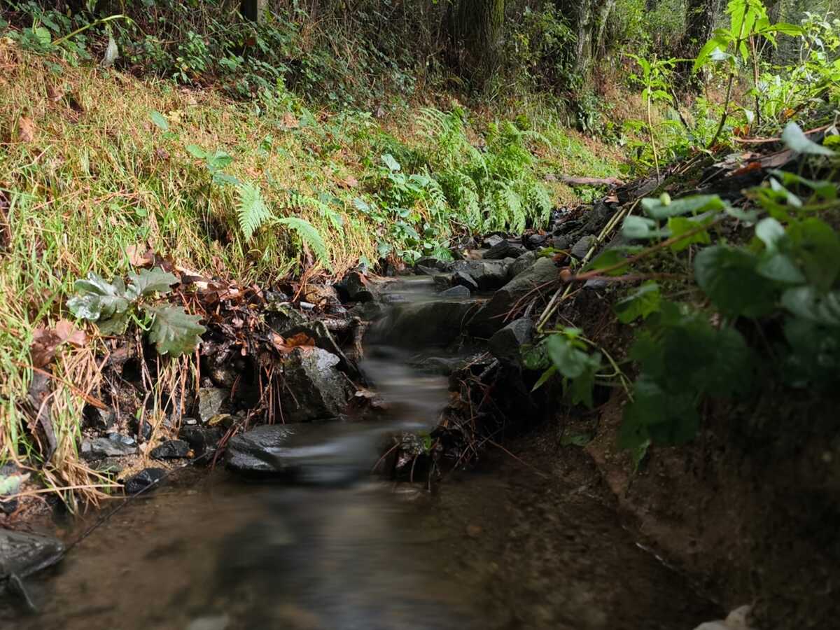 Mi experiencia con el Xiaomi 14T Pro tras tres semanas de uso 12