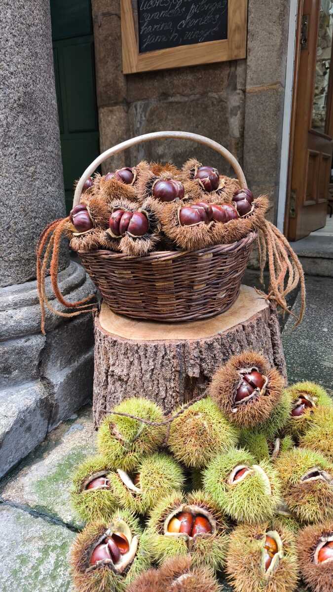 Mi experiencia con el Xiaomi 14T Pro tras tres semanas de uso 17