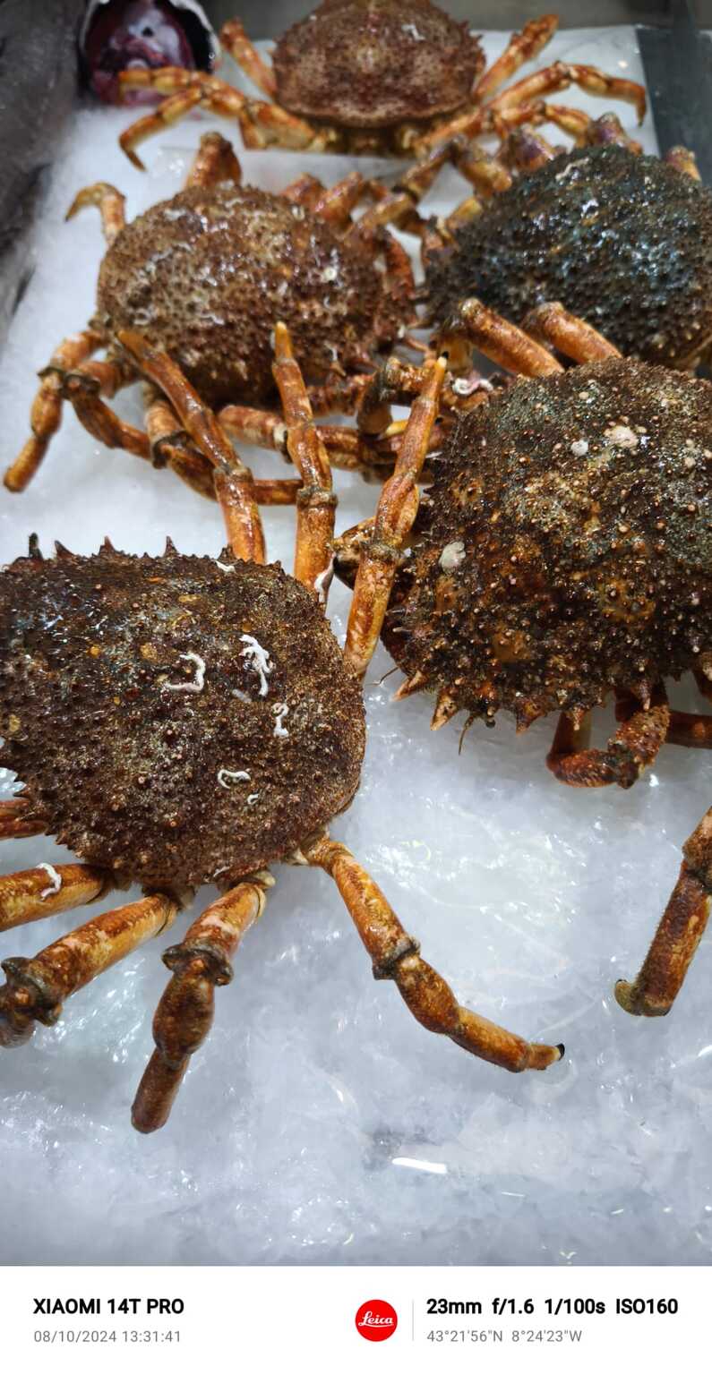 Mi experiencia con el Xiaomi 14T Pro tras tres semanas de uso 26