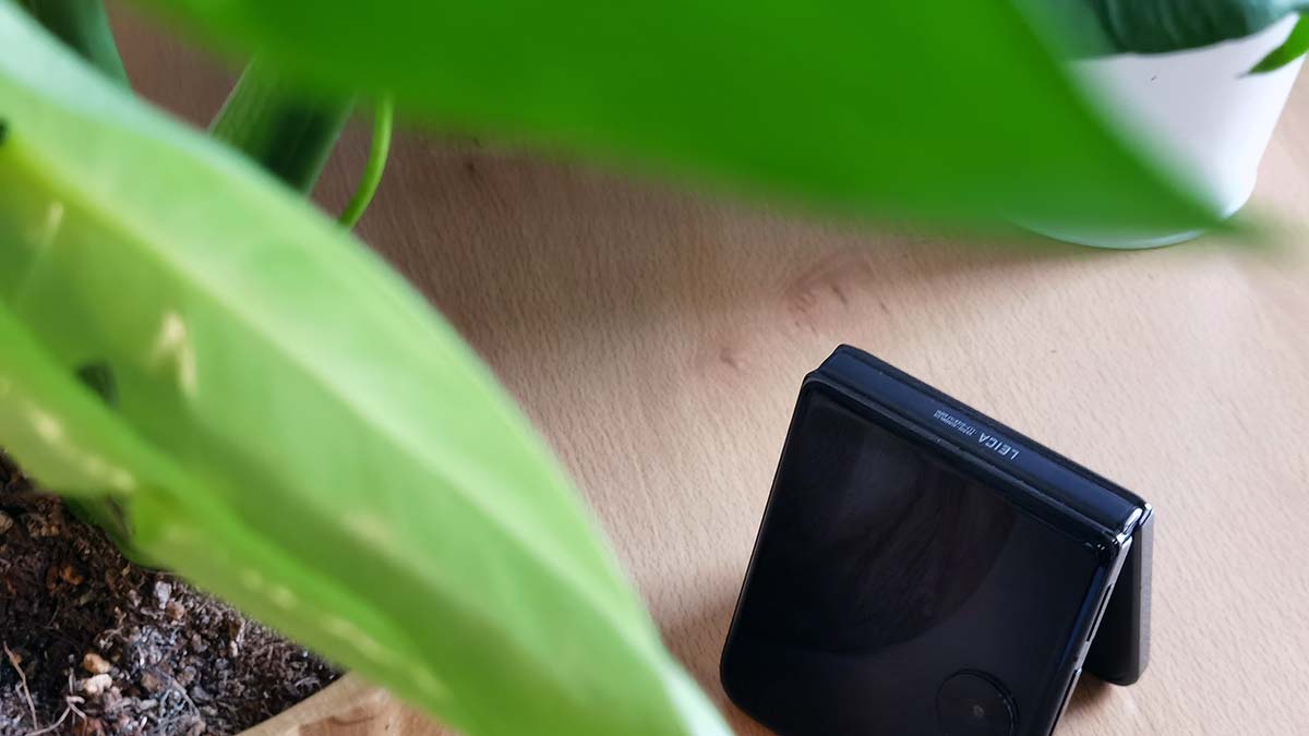 Mi experiencia con el móvil plegable Xiaomi MIX Flip tras tres semanas de uso 15 Mi experiencia con el móvil plegable Xiaomi MIX Flip tras tres semanas de uso 14
