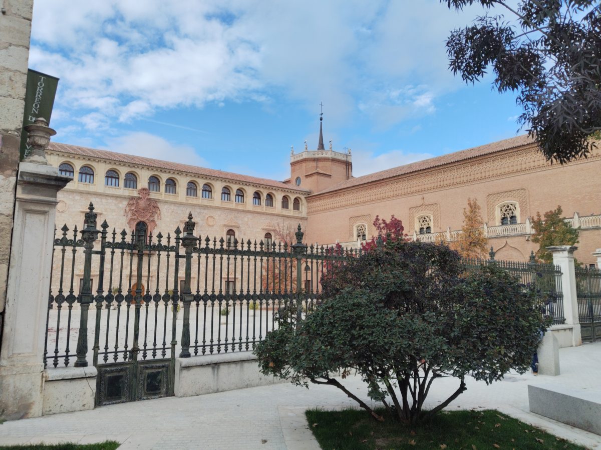 Mi experiencia con el móvil vivo V40 SE 80W tras tres semanas de uso 17 Cámara vivo V40 SE 80W 3